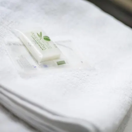 Hotel Du Dauphine Lyon